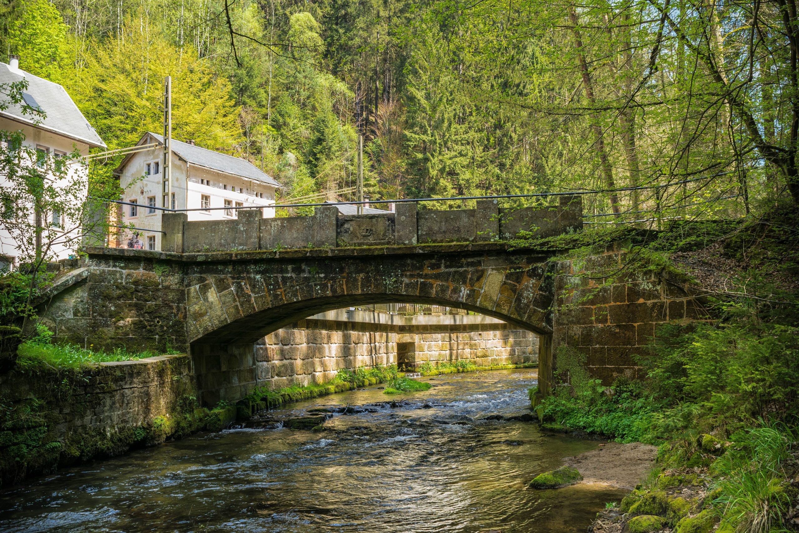 Eine Brücke über einen Bach in der Sächsischen Schweiz.